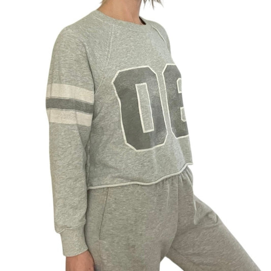 Aerie Grey 06 Graphic Striped Sleeves Crewneck Sweatshirt