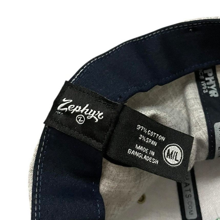 Zephyr Hats Mens University of Arizona Landscape Cactus Navy Blue & Grey Cap