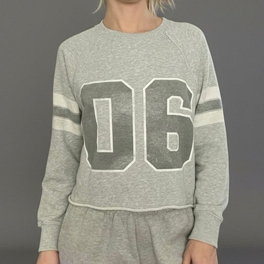Aerie Grey 06 Graphic Striped Sleeves Crewneck Sweatshirt