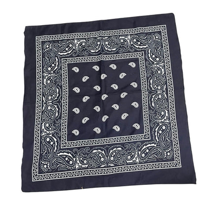 Navy Blue & Black Paisley 2 Bandana Bundle