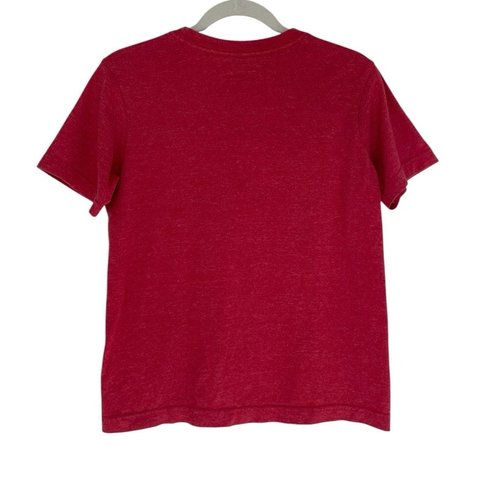 The Flash Graphic Short Sleeve Tee