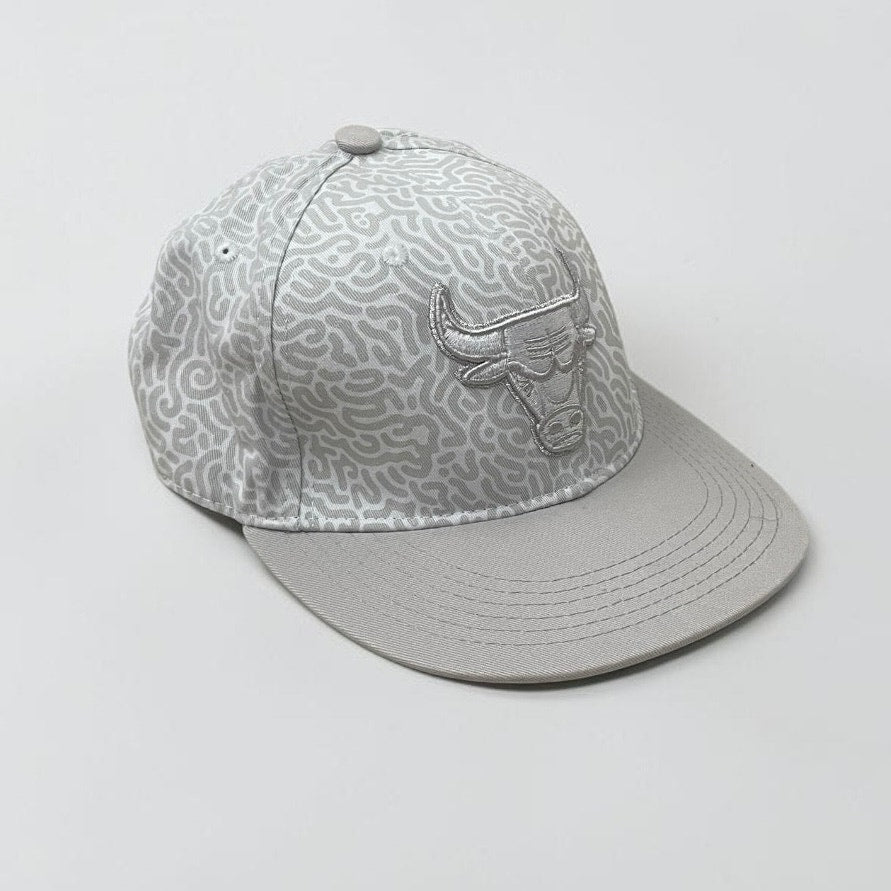 Chicago Bulls Lefty Out There 2018/19 Artist Series Grey Snapback Hat