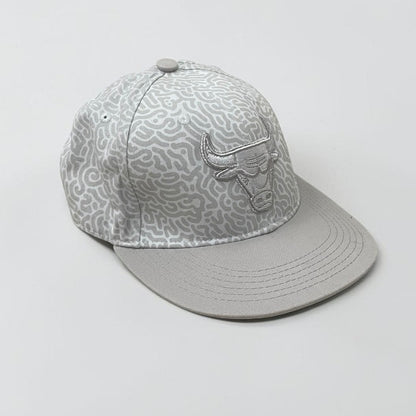 Chicago Bulls Lefty Out There 2018/19 Artist Series Grey Snapback Hat