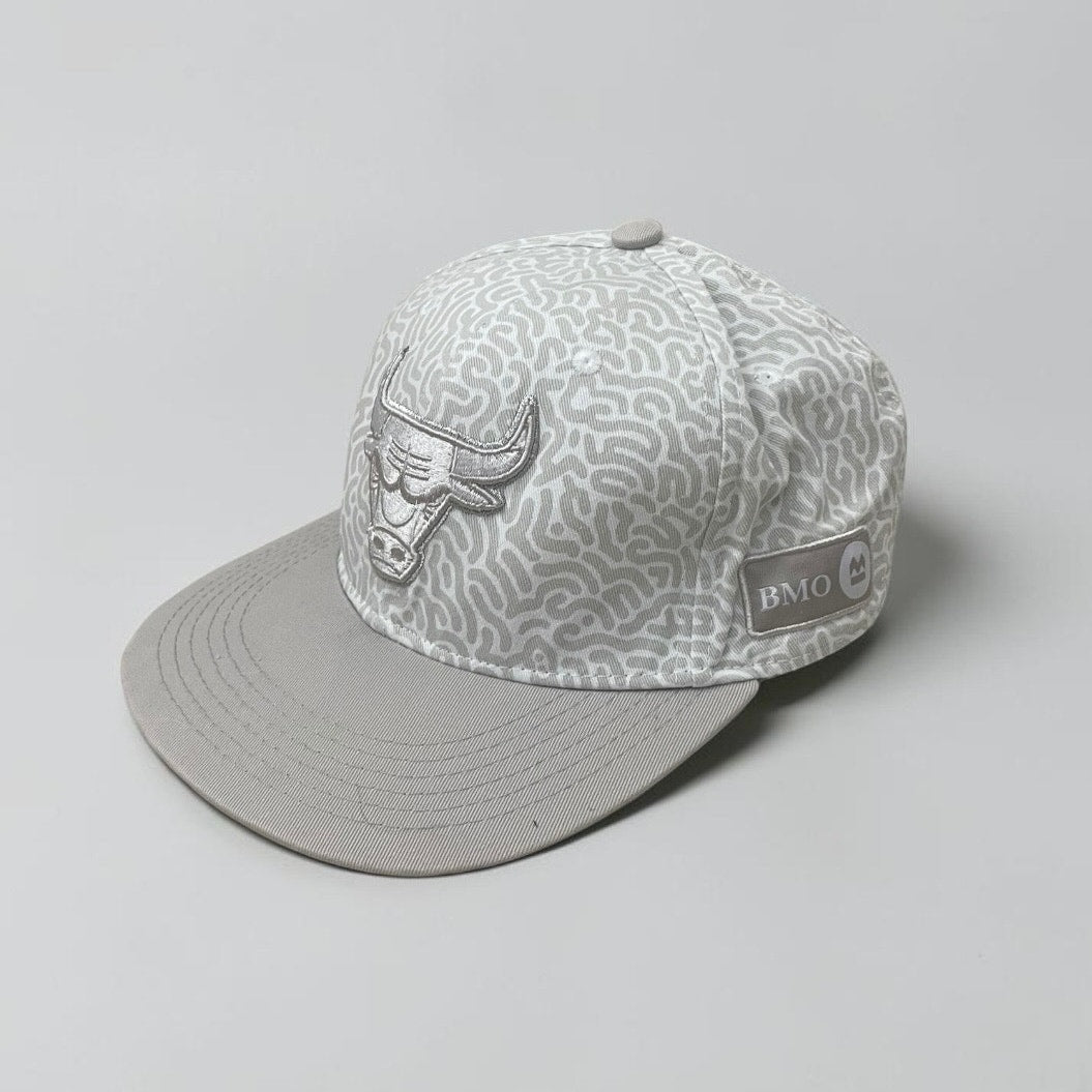 Chicago Bulls Lefty Out There 2018/19 Artist Series Grey Snapback Hat