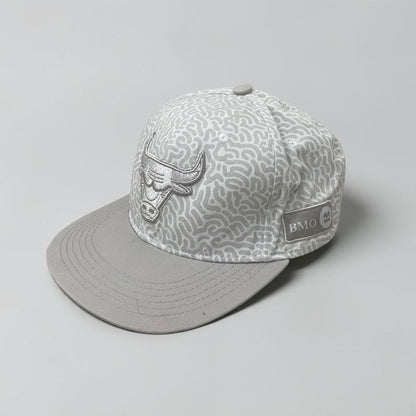Chicago Bulls Lefty Out There 2018/19 Artist Series Grey Snapback Hat
