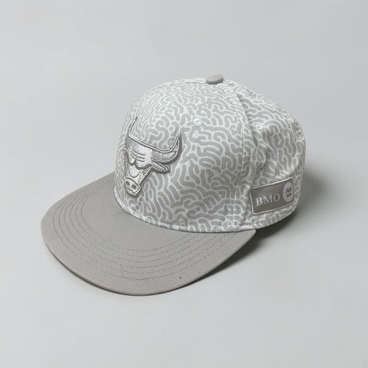 Chicago Bulls Lefty Out There 2018/19 Artist Series Grey Snapback Hat