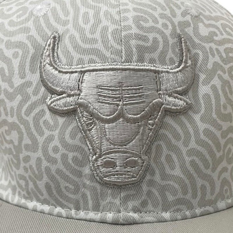 Chicago Bulls Lefty Out There 2018/19 Artist Series Grey Snapback Hat