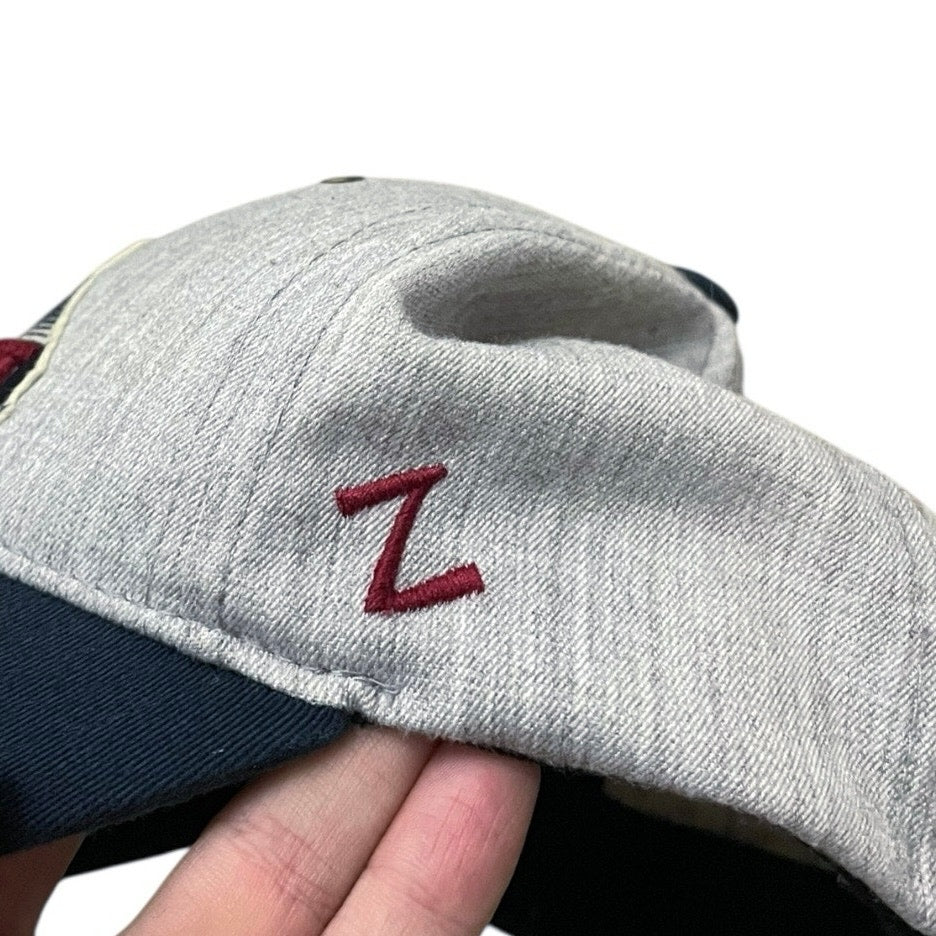 Zephyr Hats Mens University of Arizona Landscape Cactus Navy Blue & Grey Cap