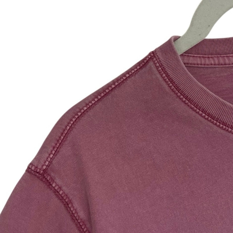 Goodfellow & Co Pink Distressed Cropped Short Sleeve Tee