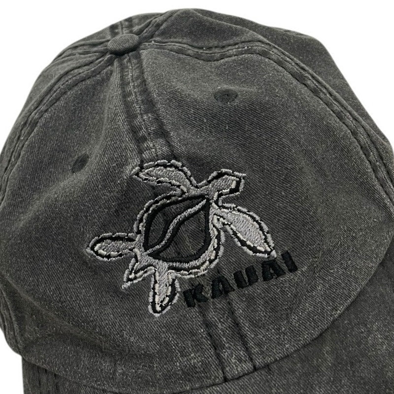 Hat Graphix 360 Grey Kauai Sea Turtle Cap
