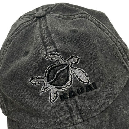 Hat Graphix 360 Grey Kauai Sea Turtle Cap
