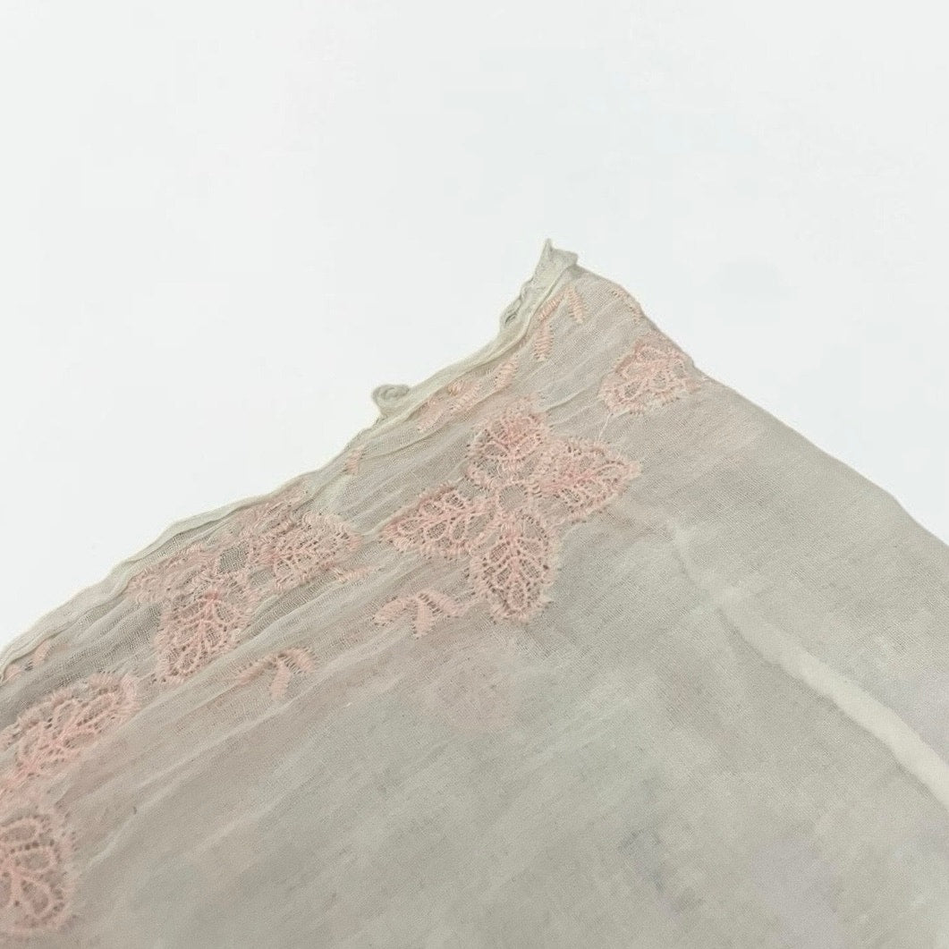 American Eagle Pink Embroidered Infinity Scarf