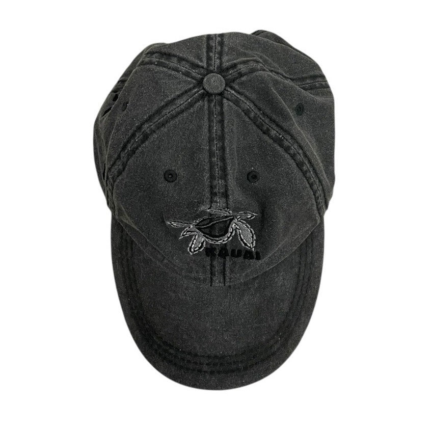 Hat Graphix 360 Grey Kauai Sea Turtle Cap
